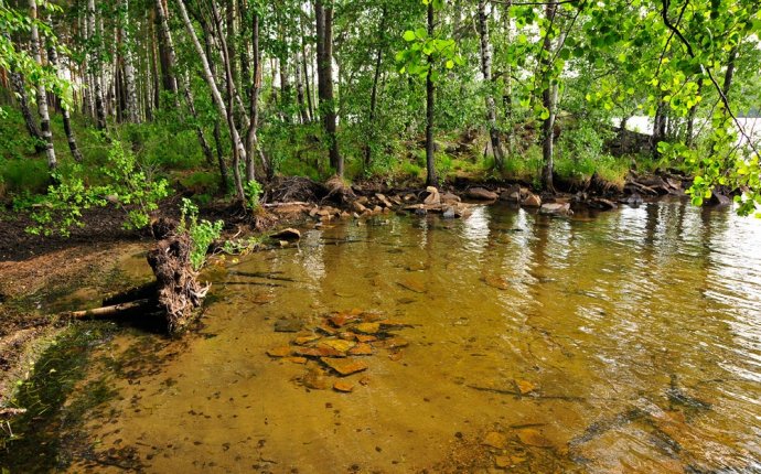 Озеро Аргаяш, Ильменский