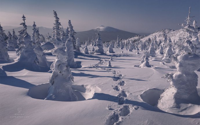 В снегах — National Geographic Россия