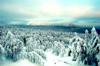 Черная скала